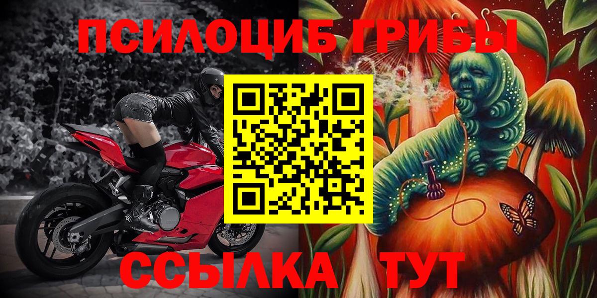 Псилоцибиновые грибы мицелий  Вход с VPN  Рассказово 